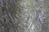 Southchurch fibreglass roof work